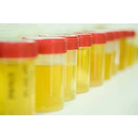 ������ ���� �� ����������